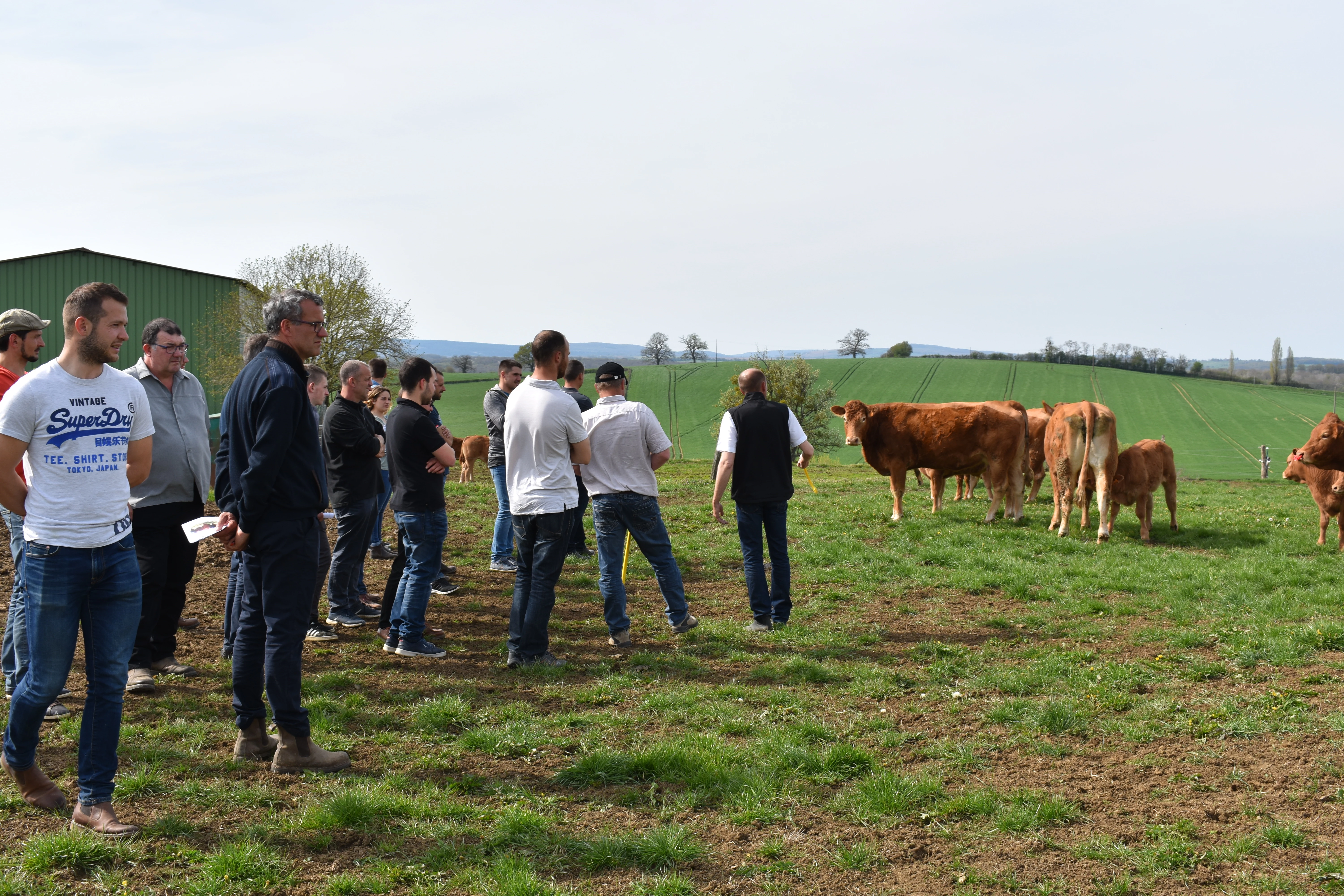En Bourgogne Rhône-Alpes, la limousine réalise l'une de ses meilleures progressions nationales