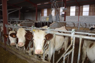 Un lait économe, de qualité, valorisé