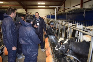 La production de veaux de boucherie, ça vous dit ?