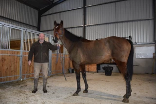 Le cheval de course se porte bien !