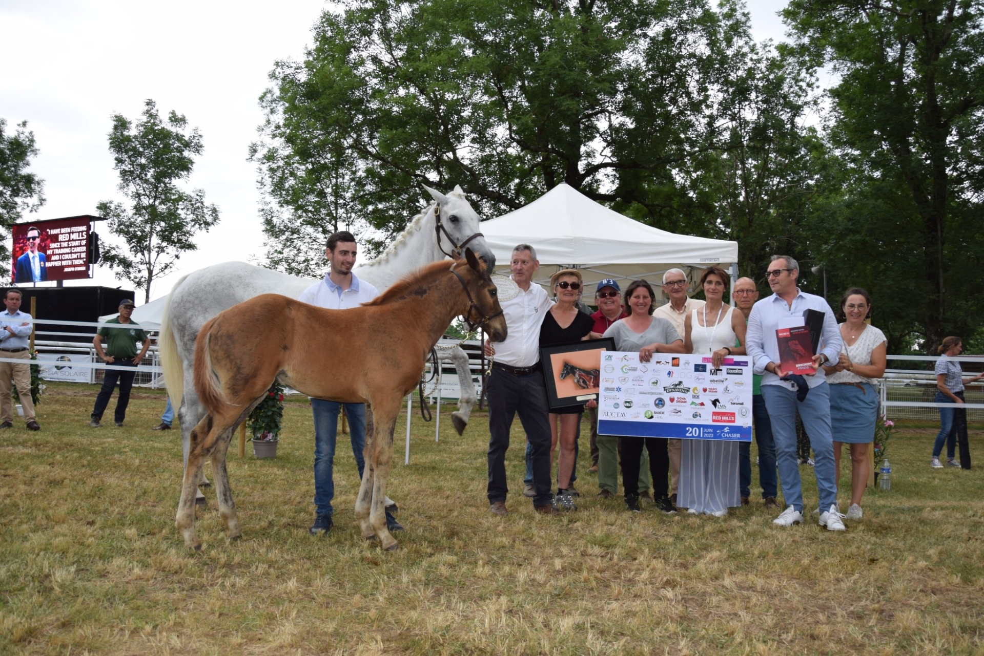 Les éleveurs de chevaux d’obstacles ont fait le show au Chaser Day de Paray-le-Monial  !