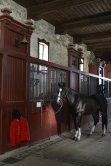 Cluny à portée de visite