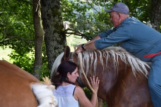 La vigilance des propriétaires et les détenteurs d’équidés est attirée alors que rhino-pneumonie continue à se propager