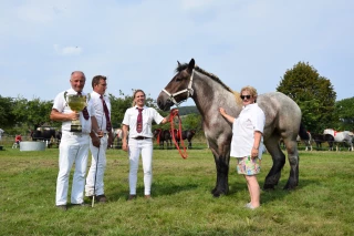 138 chevaux pour la finale régionale !