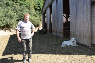 Deux patous en plus des six borders pour 600 brebis !