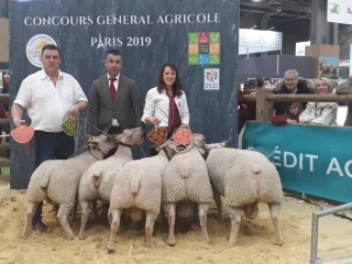 Un salon de l’agriculture porteur d’espoir pour le Mouton Charollais