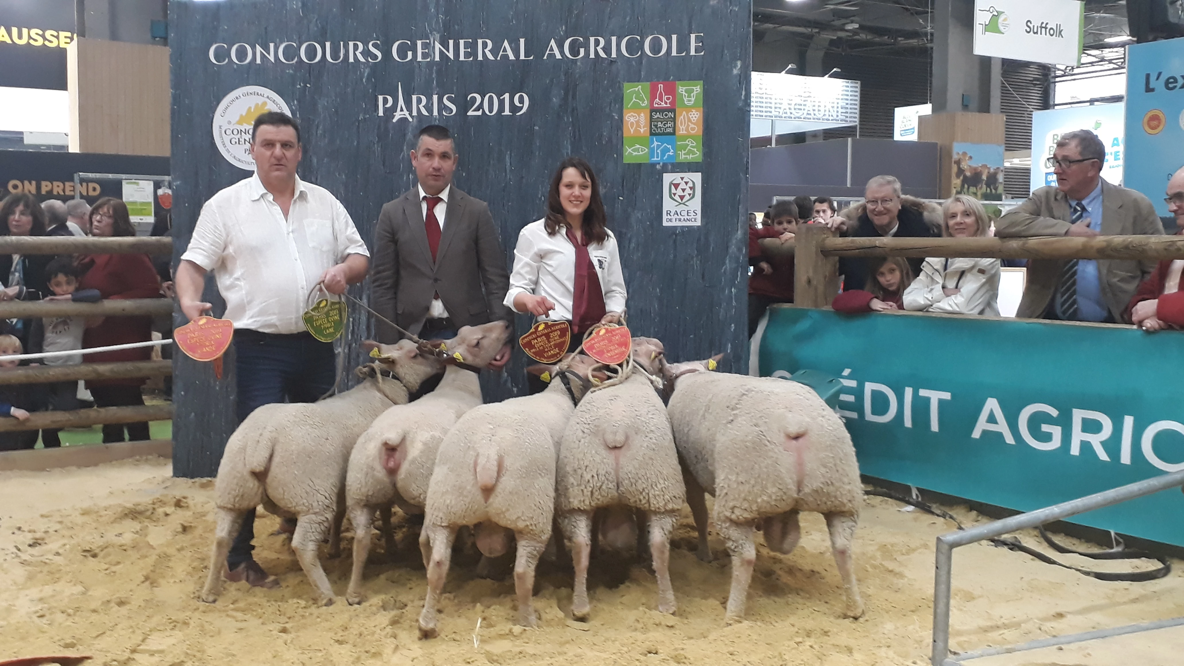 Un salon de l’agriculture porteur d’espoir pour le Mouton Charollais
