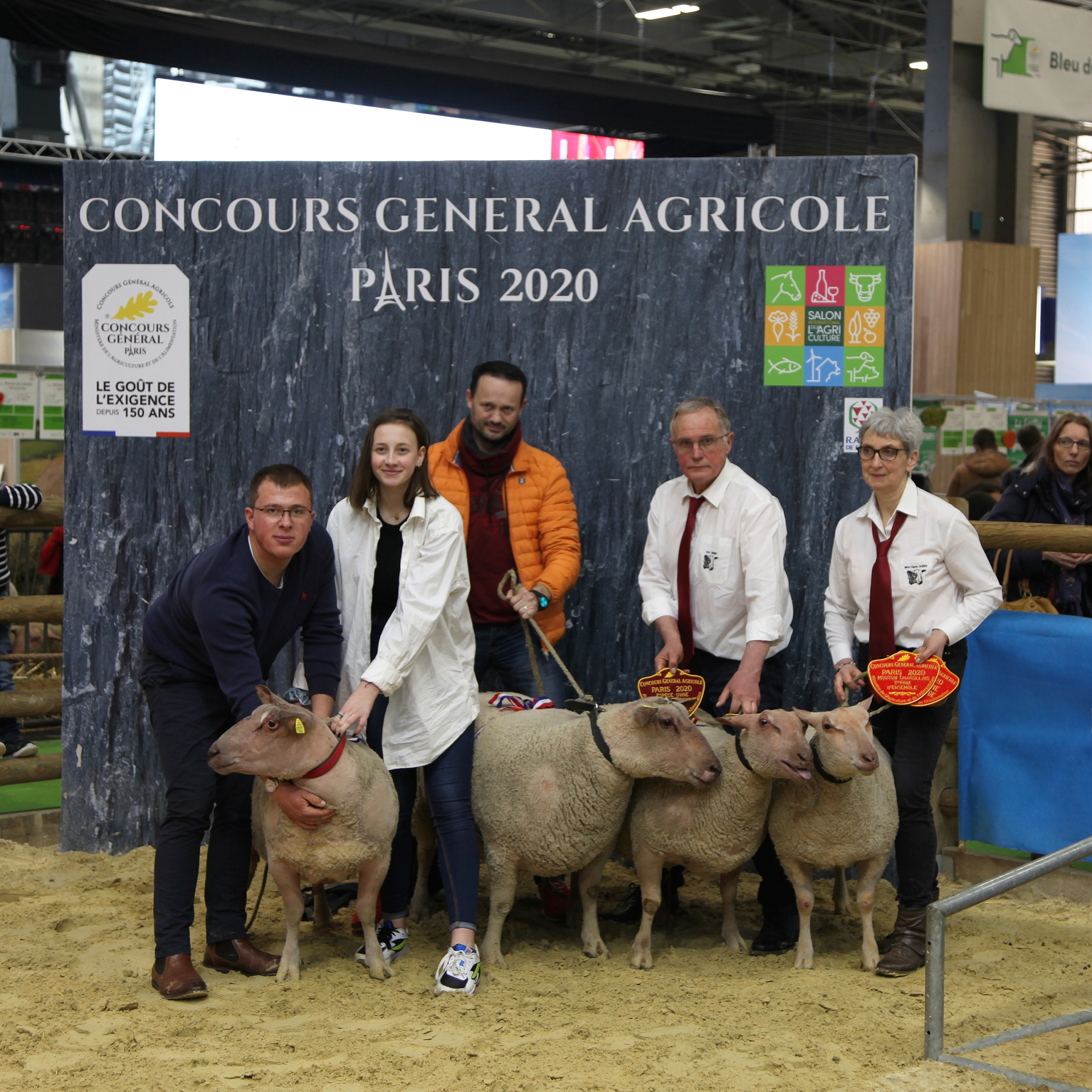 La génétique et la viande d’agneau Mouton Charollais à l’honneur à Paris!
