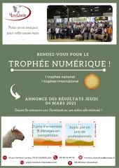 Privé de salon de l'agriculture, le Mouton Charollais organise un trophée numérique 