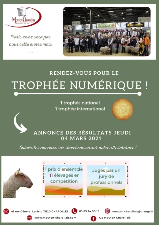 Privé de salon de l'agriculture, le Mouton Charollais organise un trophée numérique 