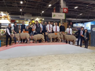 A Paris, les éleveurs de Moutons Charollais ont assuré le show...