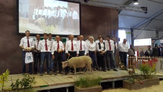 Le Mouton charollais attire les ministres !