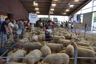 L’OS maintient le cap