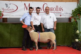 Ambiance estivale au concours national !
