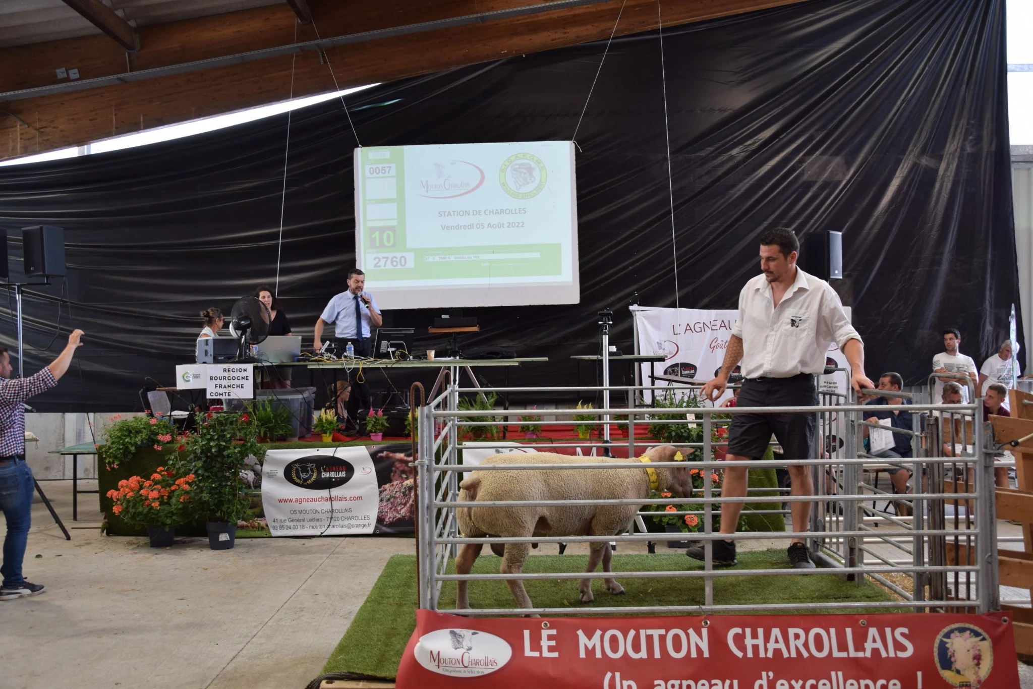 Triple succès pour les trois ventes aux enchères !