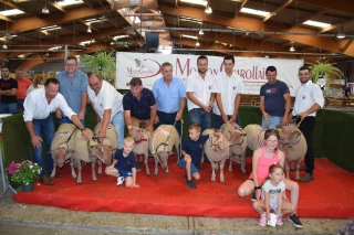Promesses tenues pour le 62e concours national du Mouton Charollais  !