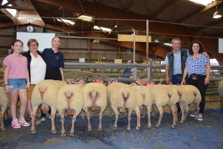 De beaux animaux et de belles ventes au concours national de Moutons charollais 