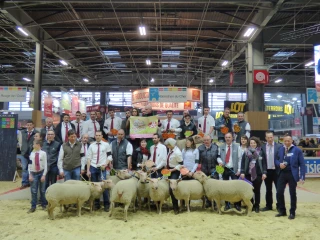 Le Mouton Charollais tiendra son concours général à Paris ce 28 février