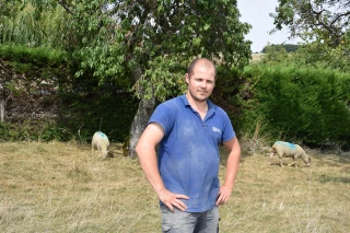 Conquis par le Mouton Charollais !