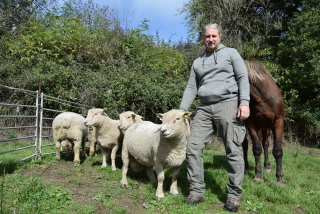 Thierry Lambert moutons southdown