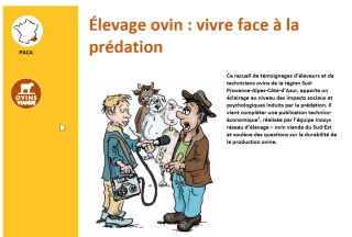 Le loup, on ne s’y habitue pas
