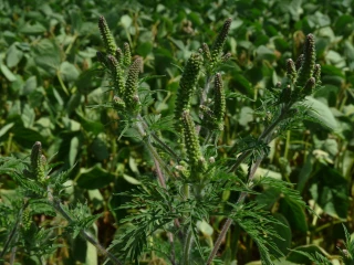 Encore quelques jours pour agir