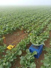 Bien raisonner la fertilisation azotée 
