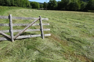 La pousse de l'herbe est loin d’être excédentaire !