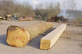 La demande grimpe sur le marché mondial des bois