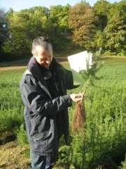 En sylviculture, il faut adapter les nouvelles plkantations aux probables changements climatiques
