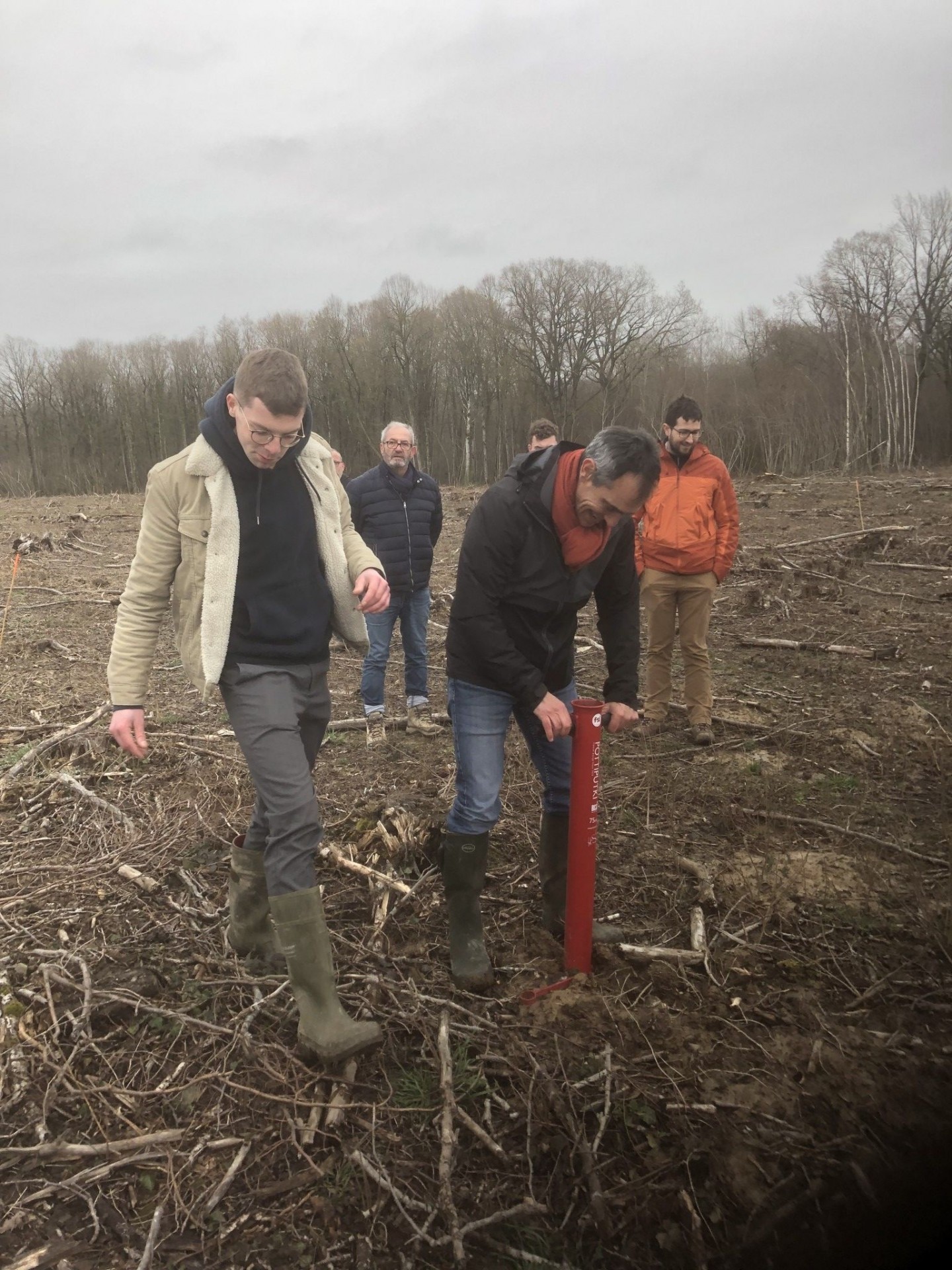 Un précieux coup de pouce pour la plantation forestière