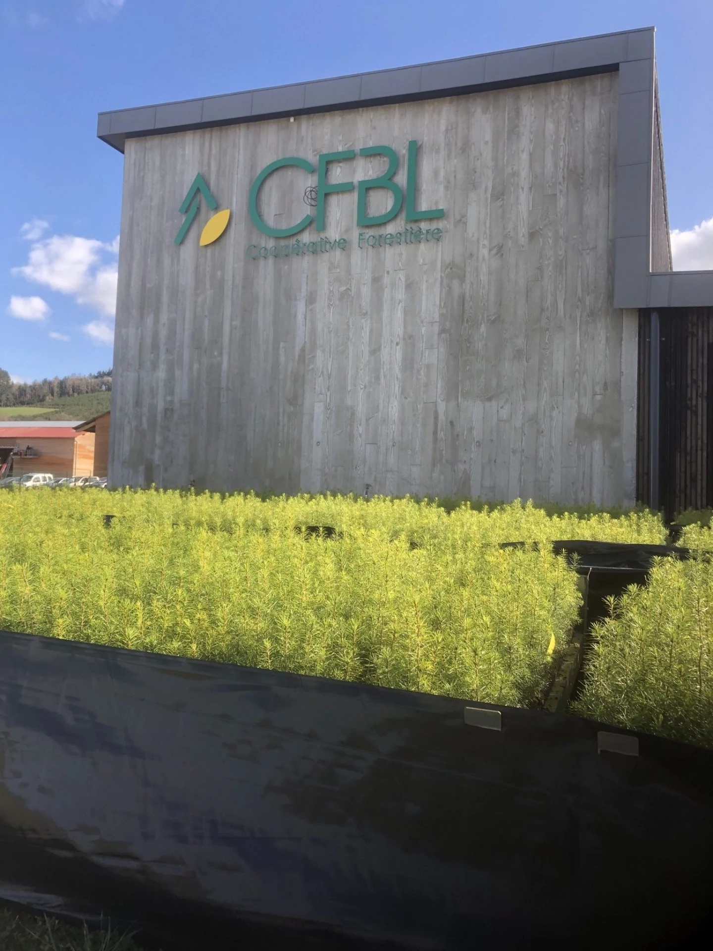 Plantations printanières maintenues malgré le Covid-19