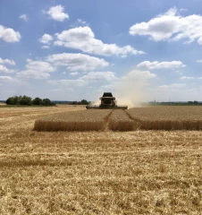 Zéro résidu de pesticide en filière CRC 