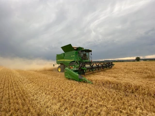 Des récoltes dans la moyenne