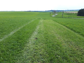 Comment gagner rapidement de la matière sèche avec des fauches précoces ?