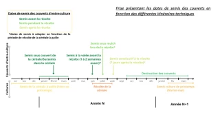 Couverts végétaux : des bénéfices agronomiques et faunistiques