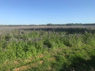 Un guide d’actions agro-environnementales pour conjuguer intérêts cynégétiques et impératifs agronomiques