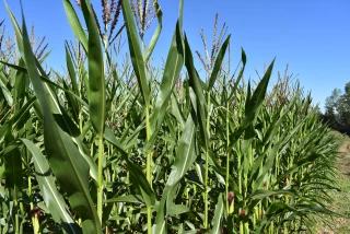 Retour sur une année de contraste