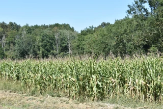 Un entre-deux intéressant