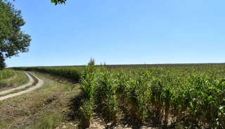 Irrigation et assurance