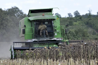 Récolte à maturité et sans attendre