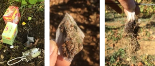 Les sols à la loupe… et sous d’autres outils