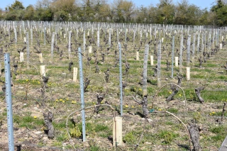 L’anticipation, une des clés de la réussite