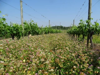 Journée biocontrôle à la CAMB