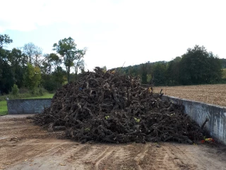 Dans l'indifférence, l'Esca poursuit ses ravages dans le vignoble...