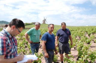 Le Nord Beaujolais reconnu en calamité Grêle pour 2016 et 2017