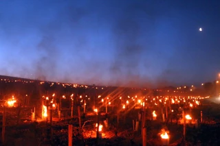 Les JA plaident plus que jamais en faveur d'une gestion des risques "ambitieuse" et "audacieuse"