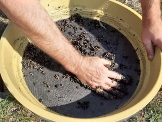 Des essences naturelles locales pour les haies