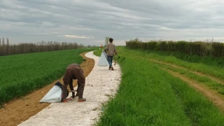 Biodiversité : un nouveau programme en faveur de la haie