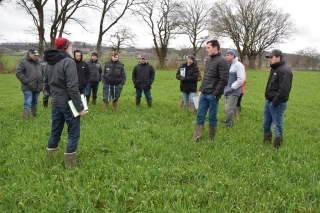 Les cultures s’adaptent et se diversifient